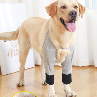Защита для коленного сустава для собак, повязка на лапу для собак. Защита передней части лапы,Регулируемый, размер XL