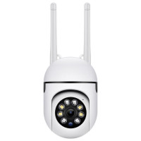 Беспроводная IP-камера видеонаблюдения H.264 с функцией ночного видения и датчиком движения