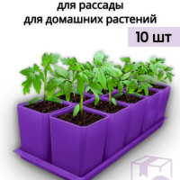 Горшки для рассады и цветов, набор из 10 горшков по 750 мл и поддона, Фиолетовый