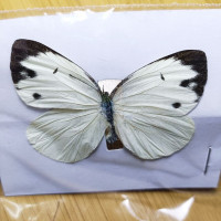 1 шт./Настоящие Красивые образцы бабочек для Хобби DIY фоторамка или домашняя Настенная Наклейка