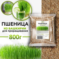 Пшеница семенная 1 шт. 800г