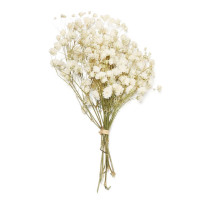 Натуральные Сушеные букеты из цветов Babysbreath, около 12-15 см