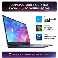 17.3" Игровой ноутбук ThundeRobot 911 Plus Pro, Intel Core i5-12450H (3.3 ГГц), RAM 16 ГБ, SSD 512 ГБ, NVIDIA GeForce RTX 3060 (6 Гб), Windows Pro, серебристый, Российская клавиатура