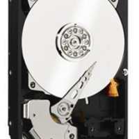 1 ТБ Внутренний жесткий диск Western Digital Black (WD1003FZEX)