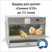 Брудер для цыплят бройлеров, перепелов, цесарок, кур несушек, индюшат до 25 голов "Сомино 658"