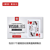 【視覺衝擊】Visualies Gaff System 特殊牌集合牌 紙牌魔術道具