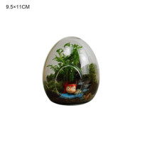 Мясистый Террариум в форме яйца, гидропонная фотография, стеклянная ваза, стеклянные бутылки, украшение для дома