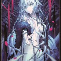 淺藍  c100  會場限定卡套  fgo  fate  黑貞卡套